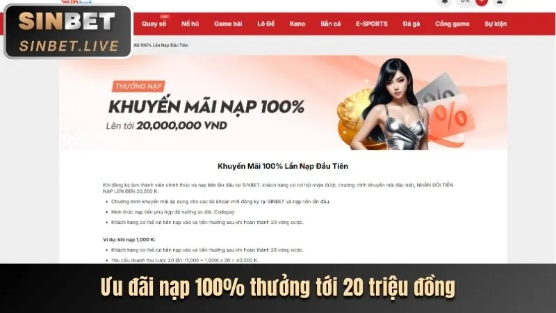 Chương trình VIP 1xbit